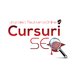 Cursuri SEO